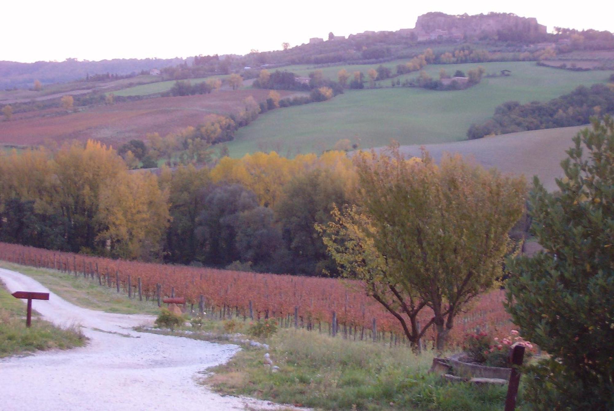 Agriturismo Cioccoleta Orvieto Extérieur photo