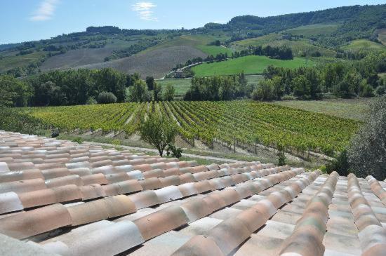 Agriturismo Cioccoleta Orvieto Extérieur photo